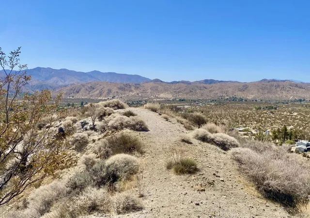 2nd image of 51170 Panorama Dr, Morongo Valley, CA 92256 | MLS# 219136221PS