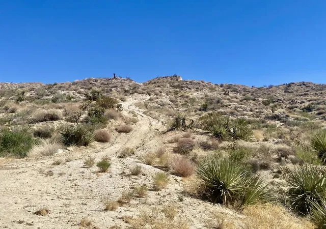 5th image of 51170 Panorama Dr, Morongo Valley, CA 92256 | MLS# 219136221PS