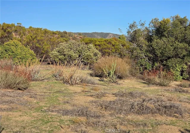 4th image of 0 Mount Rd, Anza, CA 92539 | MLS# SW25230587