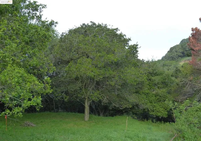 Photo 4 of Land for sale at 11275 Kerrigan Dr, Oakland, CA 94605 | MLS# 41113783 | Listing updated on 2026-07-10