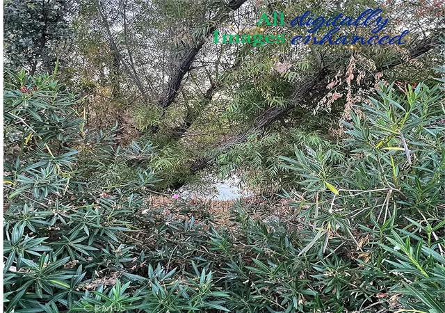 5th image of 12230 Cerrito Dr, Clearlake Oaks, CA 95423 | MLS# LC25235431