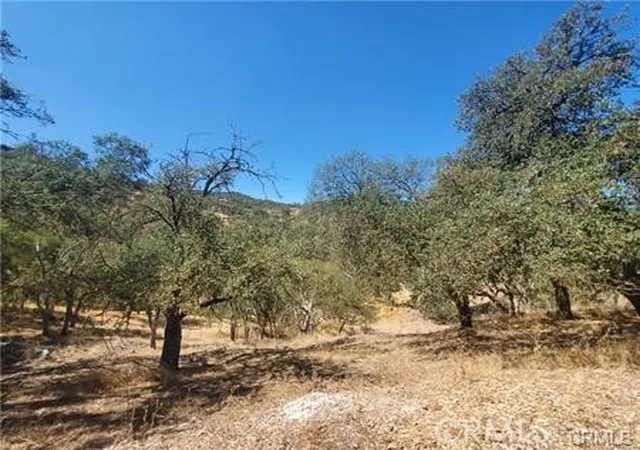 Homes for sale in Paso Robles, CA | 5129 Northfork, Paso Robles, CA 93446 | MLS# SC25236278