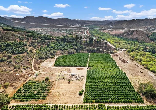 39th image of 3264 Shearer Crossing, Fallbrook, CA 92028 | MLS# NDP2509791