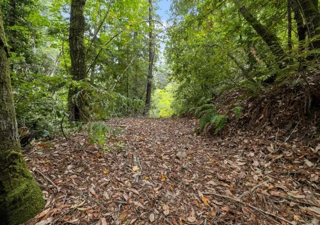 Homes for sale in Boulder Creek, CA | 2 Bear Creek, Boulder Creek, CA 95006 | MLS# ML82024639