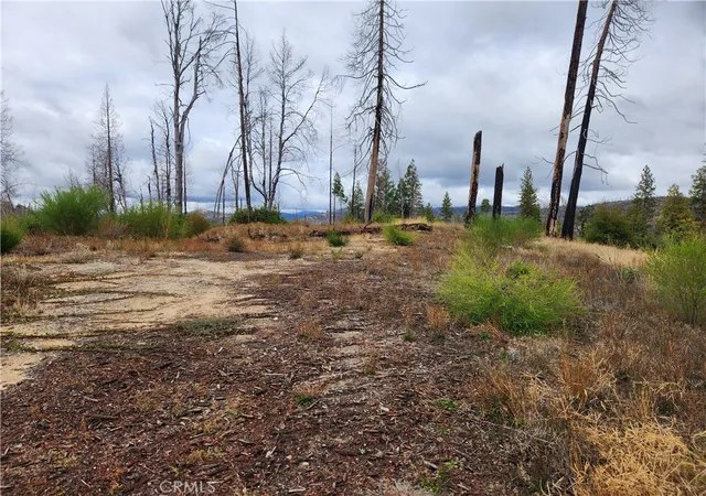 Photo 2 of Land for sale at 1103 Bald Rock Rd, Berry Creek, CA 95916 | MLS# OR25239361 | Listing updated on 2026-04-14