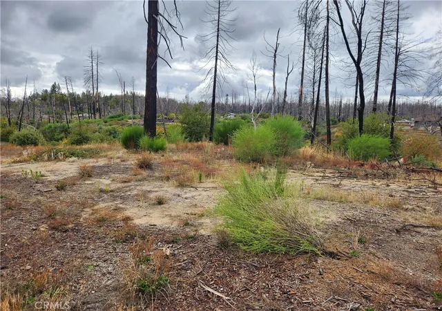 Photo 3 of Land for sale at 1103 Bald Rock Rd, Berry Creek, CA 95916 | MLS# OR25239361 | Listing updated on 2026-04-14
