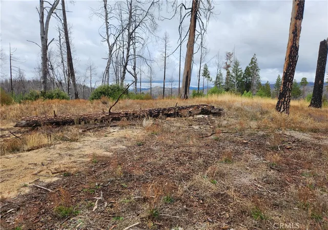 Photo 3 of Land for sale at 1103 Bald Rock Rd, Berry Creek, CA 95916 | MLS# OR25239361 | Listing updated on 2026-04-14