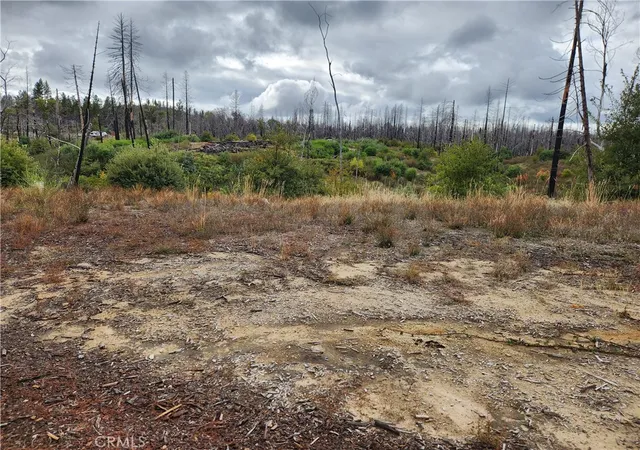 Photo 4 of Land for sale at 1103 Bald Rock Rd, Berry Creek, CA 95916 | MLS# OR25239361 | Listing updated on 2026-04-14