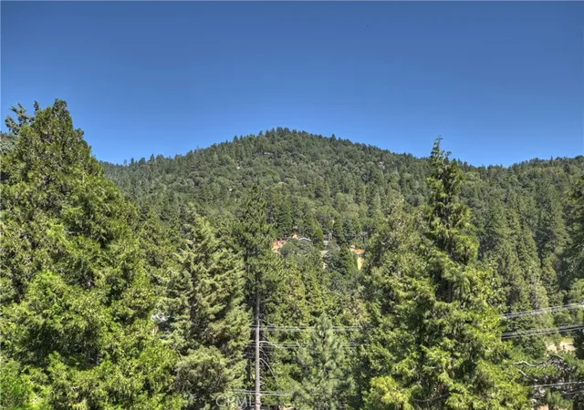 image of 489 Dorn, Crestline, CA 92325 | MLS# IG25239013