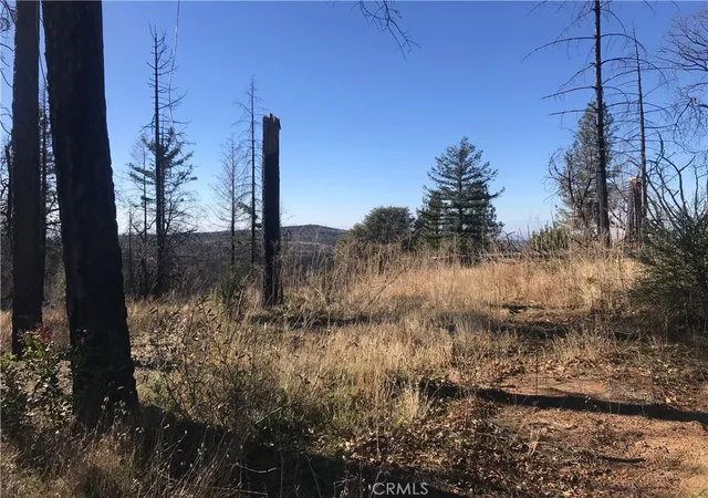 Homes for sale in Berry Creek, CA | 0 Kaelin, Berry Creek, CA 95916 | MLS# PA25240393