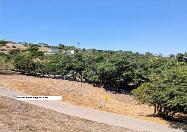 4th image of 534 W Frontenac Ave, Los Angeles, CA 90065 | MLS# TR25240637