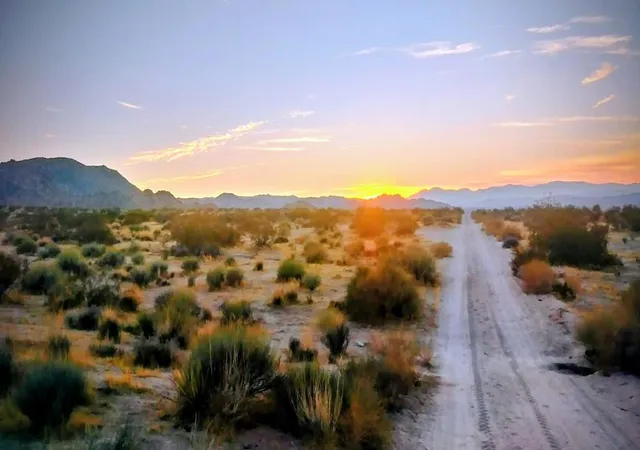 Homes for sale in 29 Palms, CA | 67428 Sullivan Rd, 29 Palms, CA 92277 | MLS# 219137042PS