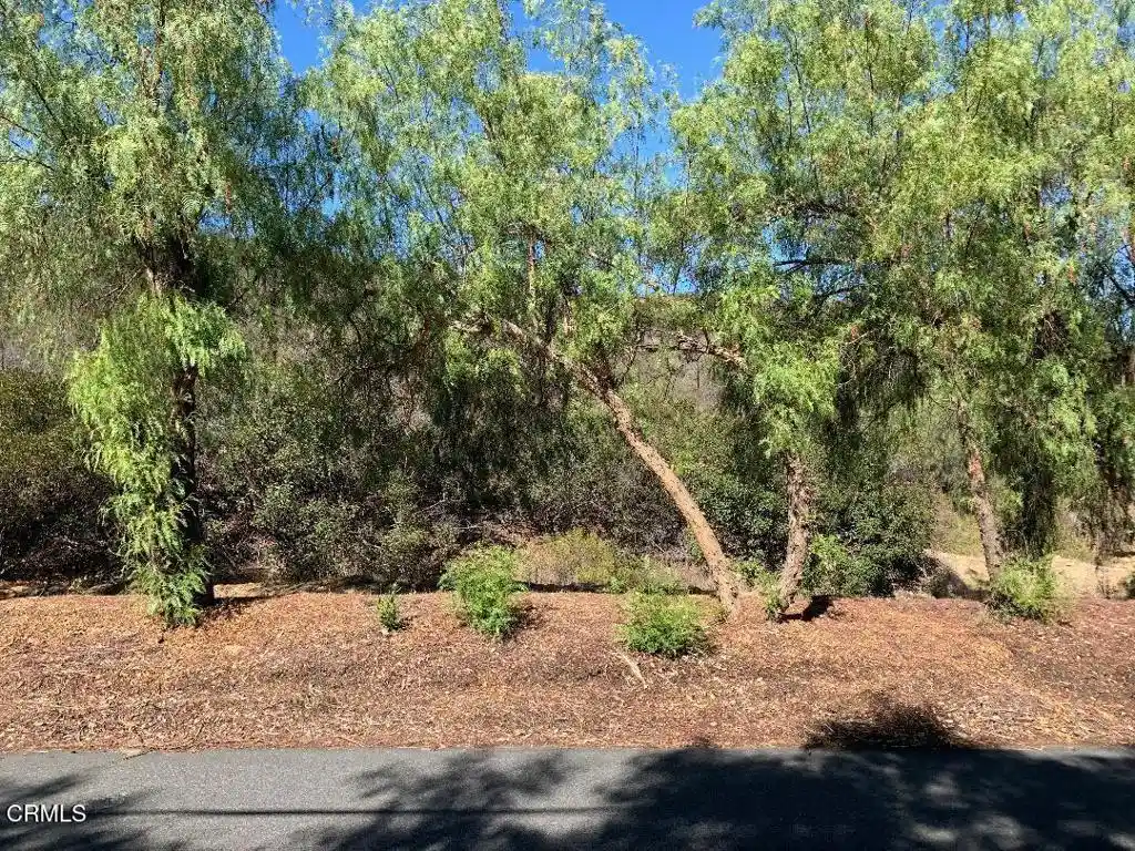Photo 1 of Land for sale at 0 S Skyline Dr, Thousand Oaks, CA 91361 | MLS# V1-32897 | Listing updated on 2026-10-09