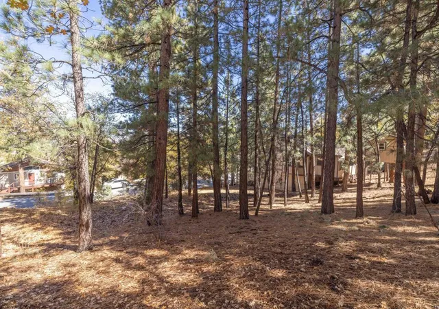 Photo 3 of Land for sale at 1409 Klamath Rd, Big Bear, CA 92314 | MLS# 219137137PS | Listing updated on 2026-05-06