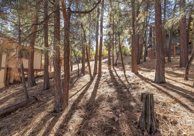 9th image of 1409 Klamath Rd, Big Bear, CA 92314 | MLS# 219137137PS