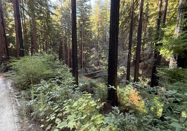 Photo 2 of Land for sale at 449 Band Rd, Boulder Creek, CA 95006 | MLS# ML82025135 | Listing updated on 2026-10-05
