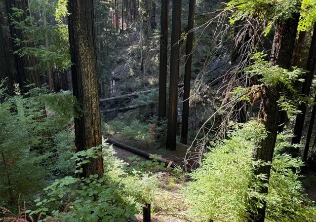 Photo 3 of Land for sale at 449 Band Rd, Boulder Creek, CA 95006 | MLS# ML82025135 | Listing updated on 2026-10-05
