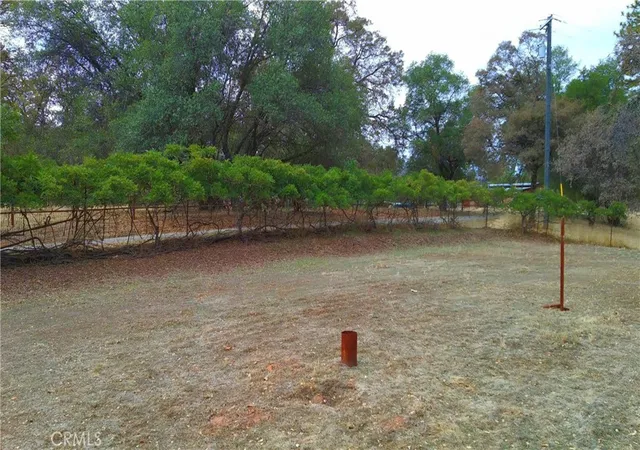 3rd image of 5264 Davis Rd, Midpines, CA 95345 | MLS# MP25240398