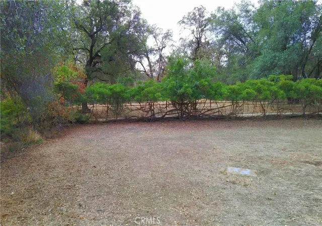 4th image of 5264 Davis Rd, Midpines, CA 95345 | MLS# MP25240398