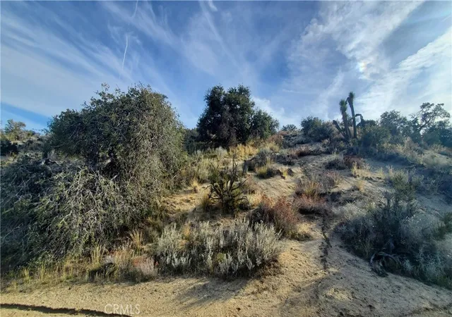 Photo 4 of Land for sale at 0 Vicinity Ross Rd E, Juniper Hills, CA 93543 | MLS# SR25242278 | Listing updated on 2026-10-02