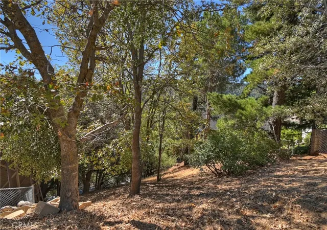 14th image of 428 Delle Dr, Crestline, CA 92325 | MLS# PW25242650