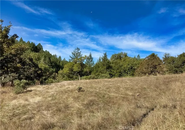2nd image of 18225 Scenic Dr, Redwood Valley, CA 95470 | MLS# LC25243018