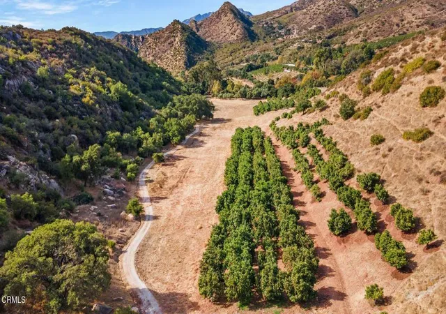 Photo 3 of Land for sale at 2250 Hermitage Rd, Ojai, CA 93023 | MLS# V1-32999 | Listing updated on 2026-03-07