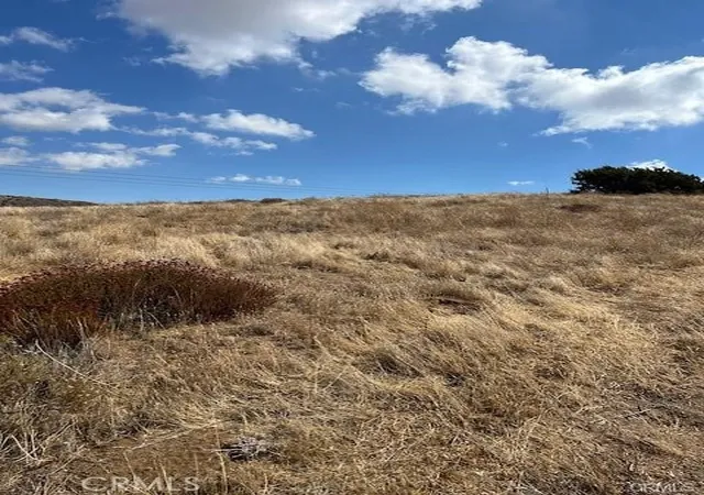 9th image of 0 Tuckerway Ranch, Acton, CA 93510 | MLS# HD25245155