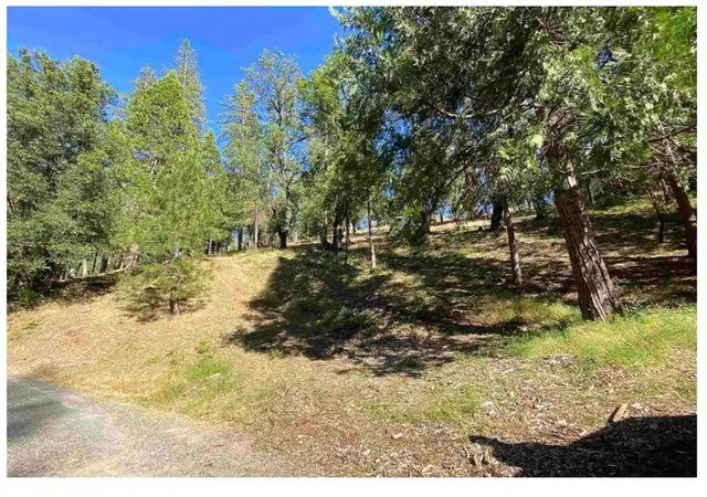 Photo 3 of Land for sale at 0 Pine Mountain Dr, Groveland, CA 95321 | MLS# SW25250311 | Listing updated on 2026-05-10