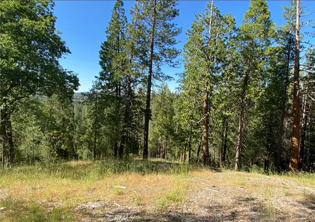 Photo 3 of Land for sale at 0 Pine Mountain Dr, Groveland, CA 95321 | MLS# SW25250311 | Listing updated on 2026-05-10