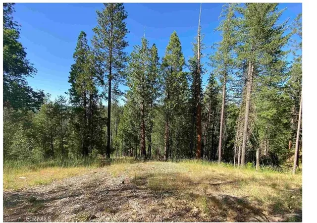 Photo 4 of Land for sale at 0 Pine Mountain Dr, Groveland, CA 95321 | MLS# SW25250311 | Listing updated on 2026-05-10
