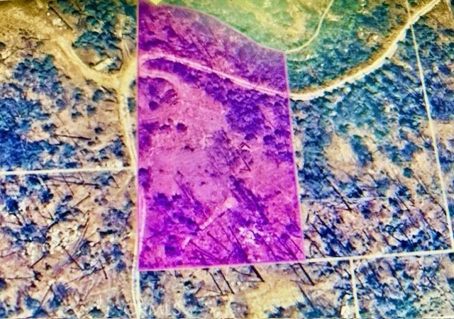 Photo 3 of Land for sale at 0 Craig Access, Feather Falls, CA 95940 | MLS# OR25251686 | Listing updated on 2025-11-10