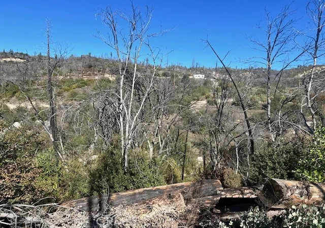 Photo 3 of Land for sale at 0 Craig Access, Feather Falls, CA 95940 | MLS# OR25251686 | Listing updated on 2025-11-10