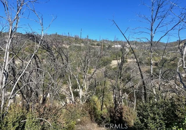 Photo 4 of Land for sale at 0 Craig Access, Feather Falls, CA 95940 | MLS# OR25251686 | Listing updated on 2025-11-10
