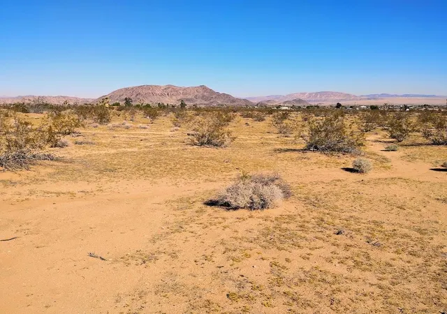 Land for sale at 565 Inez Ave, Landers, CA 92285 | MLS# 219138097DA