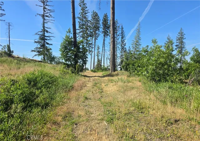 Photo 3 of Land for sale at 790 Highland Ln, Paradise, CA 95969 | MLS# SN25253288 | Listing updated on 2026-07-13