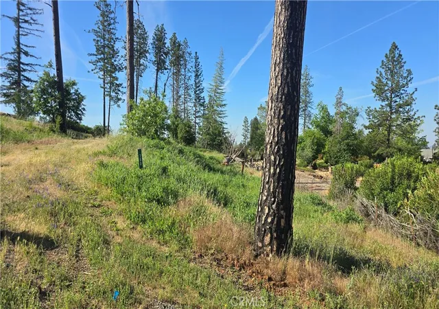 Photo 4 of Land for sale at 790 Highland Ln, Paradise, CA 95969 | MLS# SN25253288 | Listing updated on 2026-07-13