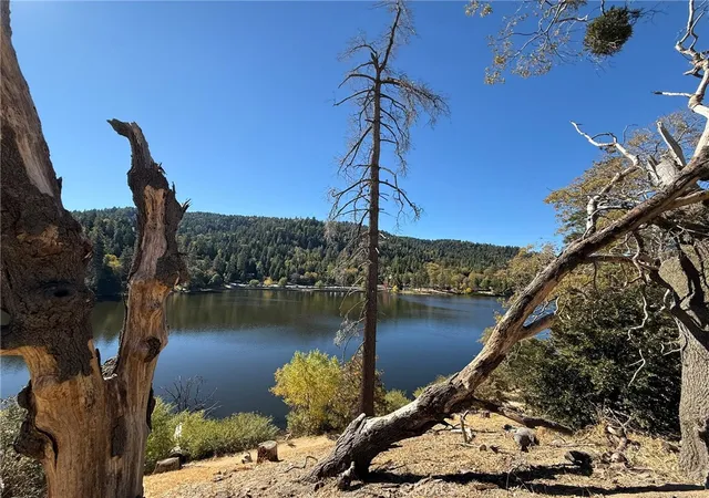 18th image of 23489 Lake, Crestline, CA 92325 | MLS# OC25255937