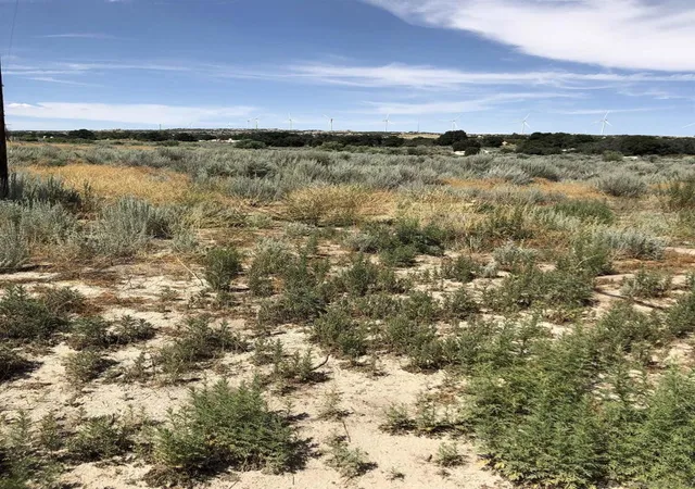 Photo 2 of Land for sale at 2885 Ribbonwood Rd, Boulevard, CA 91905 | MLS# 250043675SD | Listing updated on 2026-04-08
