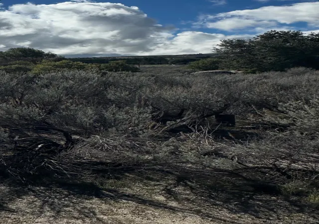 Photo 3 of Land for sale at 2885 Ribbonwood Rd, Boulevard, CA 91905 | MLS# 250043675SD | Listing updated on 2026-04-08