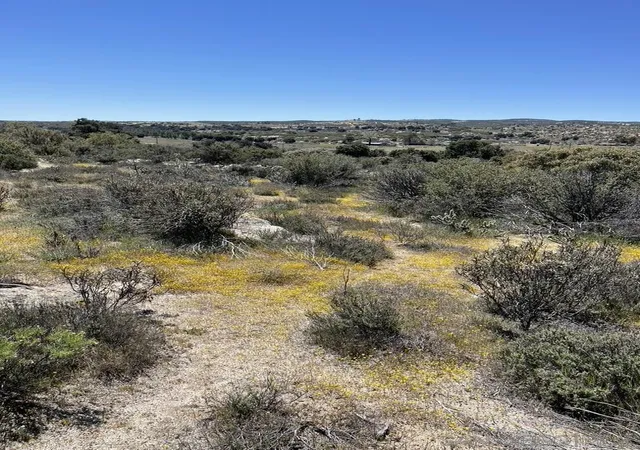 Photo 4 of Land for sale at 2885 Ribbonwood Rd, Boulevard, CA 91905 | MLS# 250043675SD | Listing updated on 2026-04-08