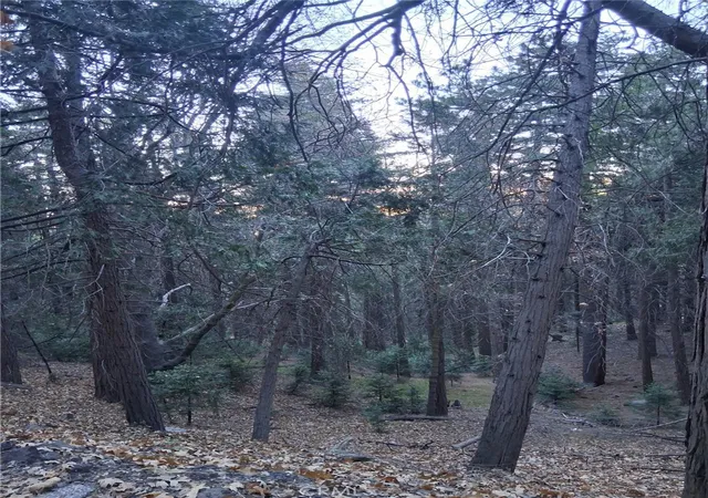 Photo 1 of Land for sale at 0 Reservoir, Cedarpines Park, CA 92322 | MLS# IG25260268 | Listing updated on 2026-09-02