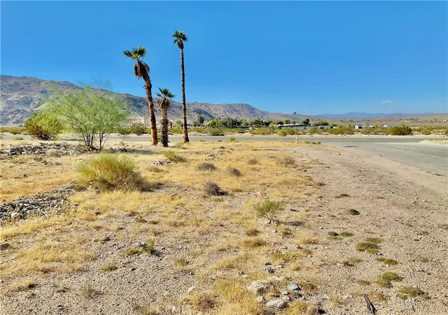 4th image of 74517 Serrano, Twentynine Palms, CA 92277 | MLS# JT25259436