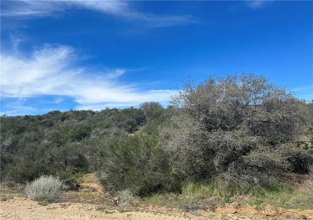 Homes for sale in Oak Hills, CA | 0 Braceo St, Oak Hills, CA 92344 | MLS# SW25261281