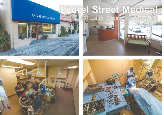 Homes for sale in San Carlos, CA | 987 Laurel St, San Carlos, CA 94070 | MLS# ML82027747