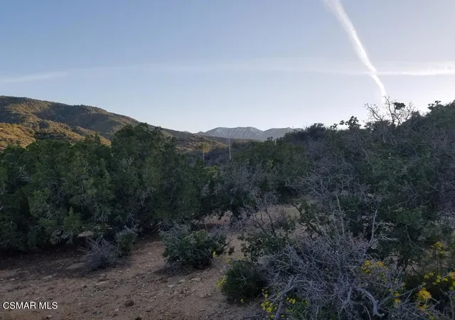 2nd image of Panorama Rd, Llano, CA 93544 | MLS# 225005664