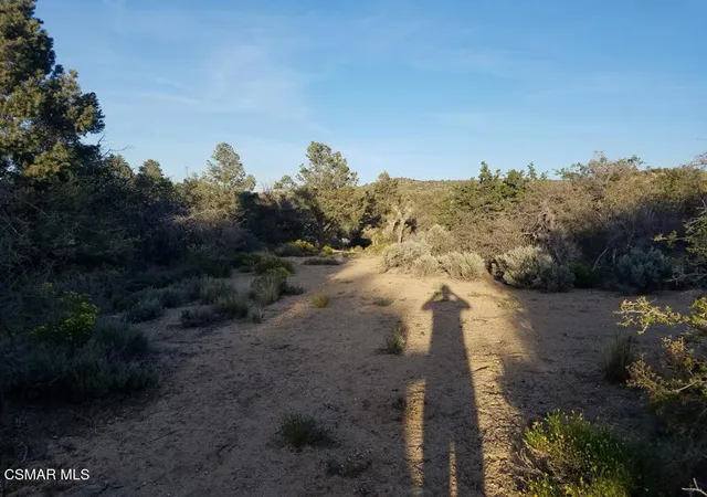 3rd image of Panorama Rd, Llano, CA 93544 | MLS# 225005664