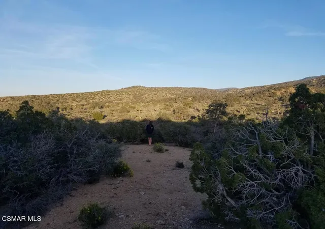 4th image of Panorama Rd, Llano, CA 93544 | MLS# 225005664