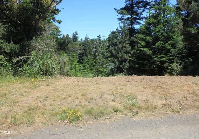 Homes for sale in Mendocino, CA | 44068 Ocean Vista Ct, Mendocino, CA 95460 | MLS# C1-11195