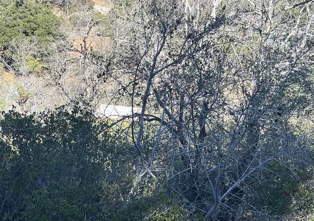 Photo 3 of Land for sale at 0 Banner View Dr, Julian, CA 92036 | MLS# 250044208SD | Listing updated on 2026-04-07